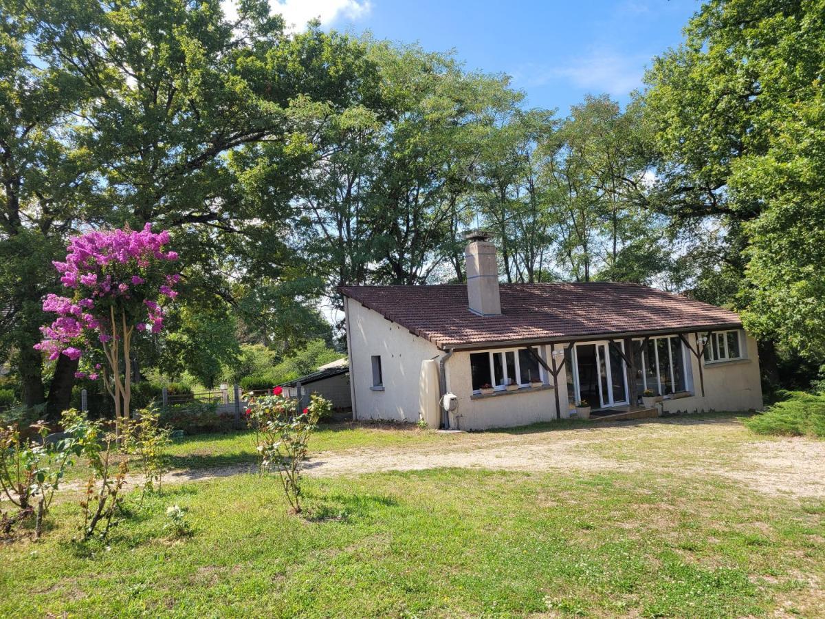 La Rhomane Villa Chabris Eksteriør billede